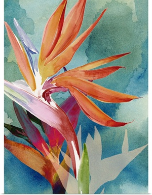 Vivid Birds of Paradise II