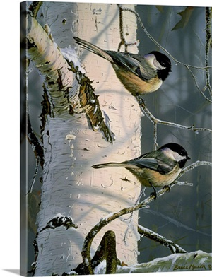 Chickadees At Dawn