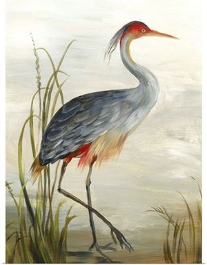 Grey Heron