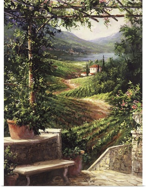 Chianti Vineyard