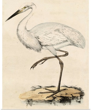 Antique Heron III