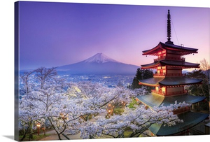 Japan, Yamanashi Prefecture, Fuji-Yoshida, Chureito Pagoda, Mt Fuji and Cherry Blossoms
