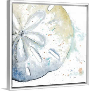 Water Sand Dollar