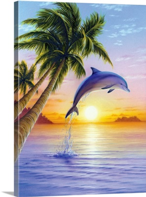Morning Dolphin