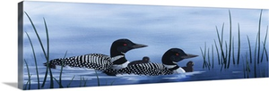 Family of Loons