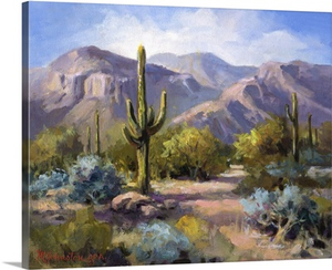 Catalina Mountain Foothills