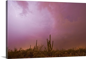 Tucson, Arizona