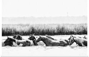 Water Horses III