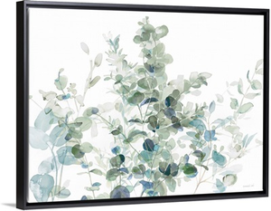 Eucalyptus I Cool