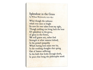Splendour In The Grass