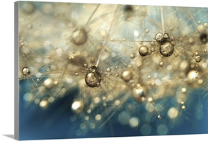 Ocean Deep Dandy Drops