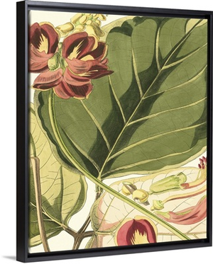 Fantastical Botanical I