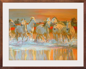 Camargue