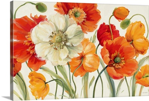 Poppies Melody I