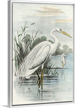 Oversize White Heron
