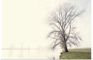 Waking Up Under A White Veiled Dawn