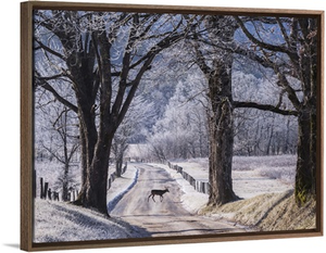 Deer Crossing