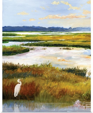 Salt Marsh Sanctuary I