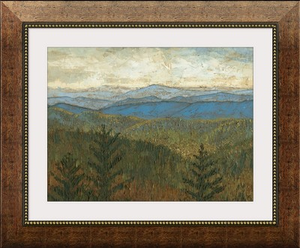 Blue Ridge View I
