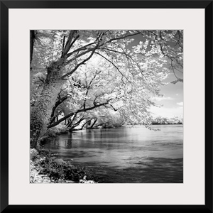 Spring on the River Square I