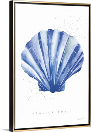 Scallop Shell