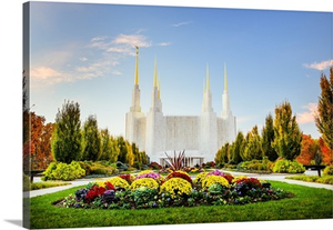 Washington DC Temple with Flowers, South Kensington, Maryland