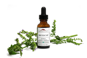 Skullcap Extract Organic