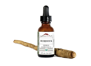 Burdock Extract Organic