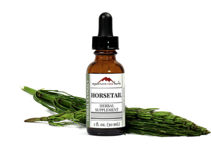 Horsetail Extract
