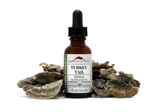 Turkey Tail Extract Organic