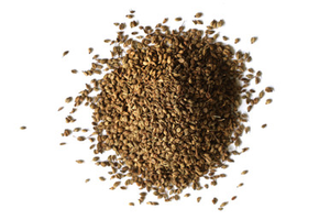 Celery Seed Organic