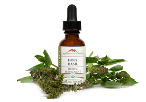 Holy Basil Extract Organic