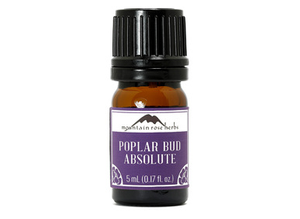 Poplar Bud Absolute