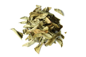 Curry Leaf Organic