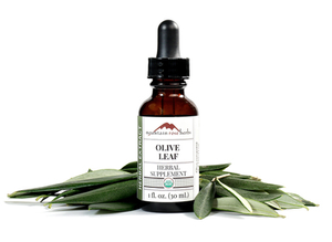 Olive Leaf Extract Organic