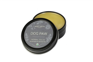 Dog Paw Herbal Salve