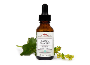 Lady's Mantle Extract Organic
