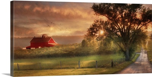 Country Lane Sunset
