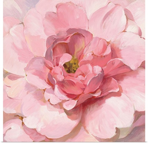 Blushing Peony
