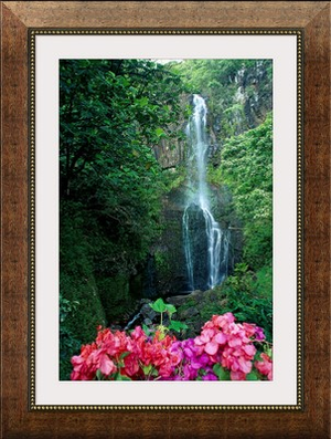 Hawaii, Maui, Wailua Waterfall And Rainforest