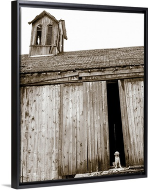 Barnyard Dog