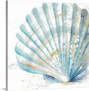 Water Shell