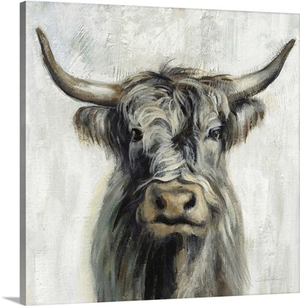 Highland Cow