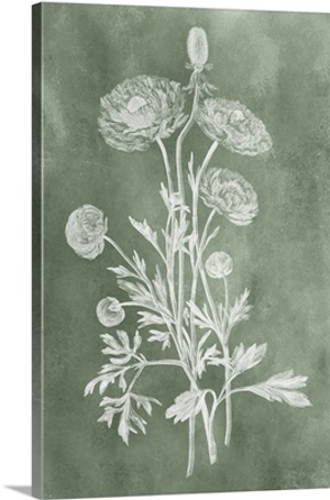 Sage Impressions I