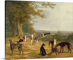 Nine Greyhounds in a Landscape
