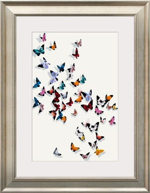 Butterfly Wonderland II