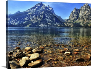 Jenny Lake Shoreline