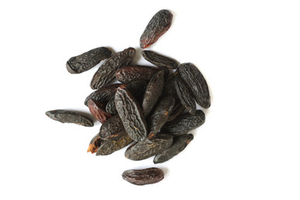 Tonka Beans Whole Organic