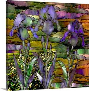 Three Irises