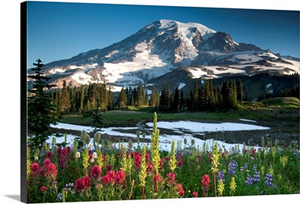Paradise Ridge